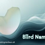 Biird Namii Review - cute little clit sucker and discount