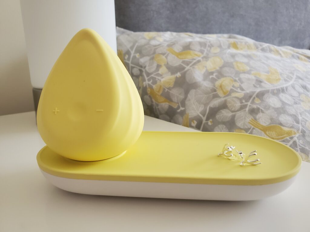 biird evii beginner vibrator review