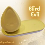 Biird Evii mini vibrator for beginners (review)