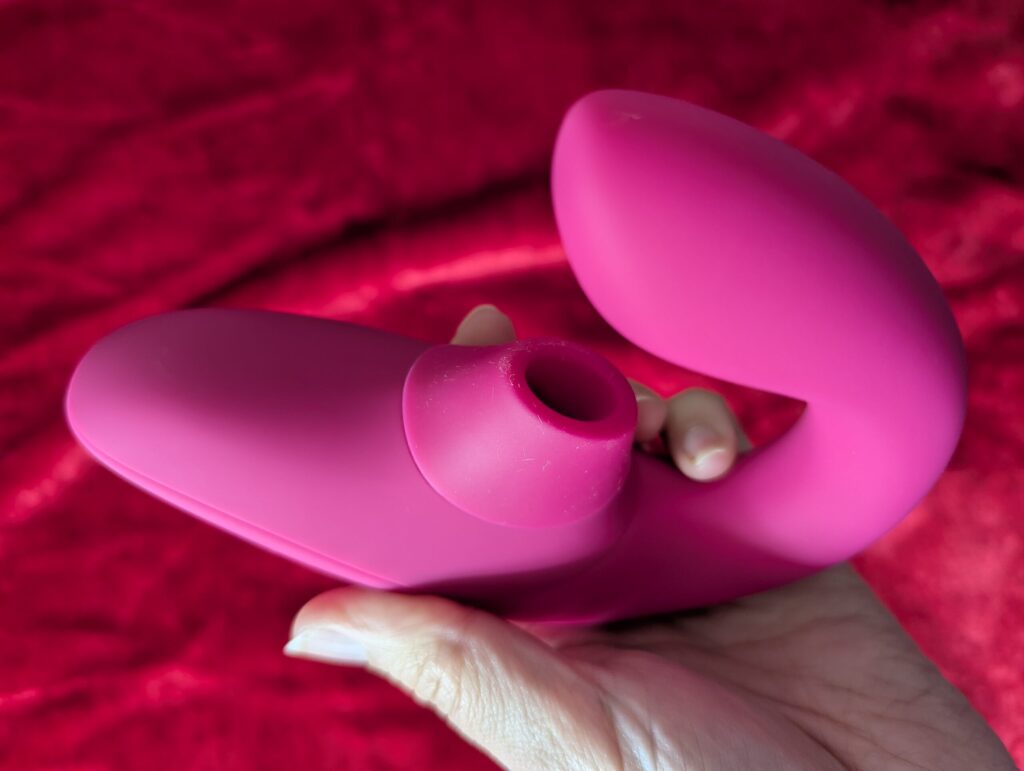 Performance: Suction & Internal Stimulation - The Womanizer Blend