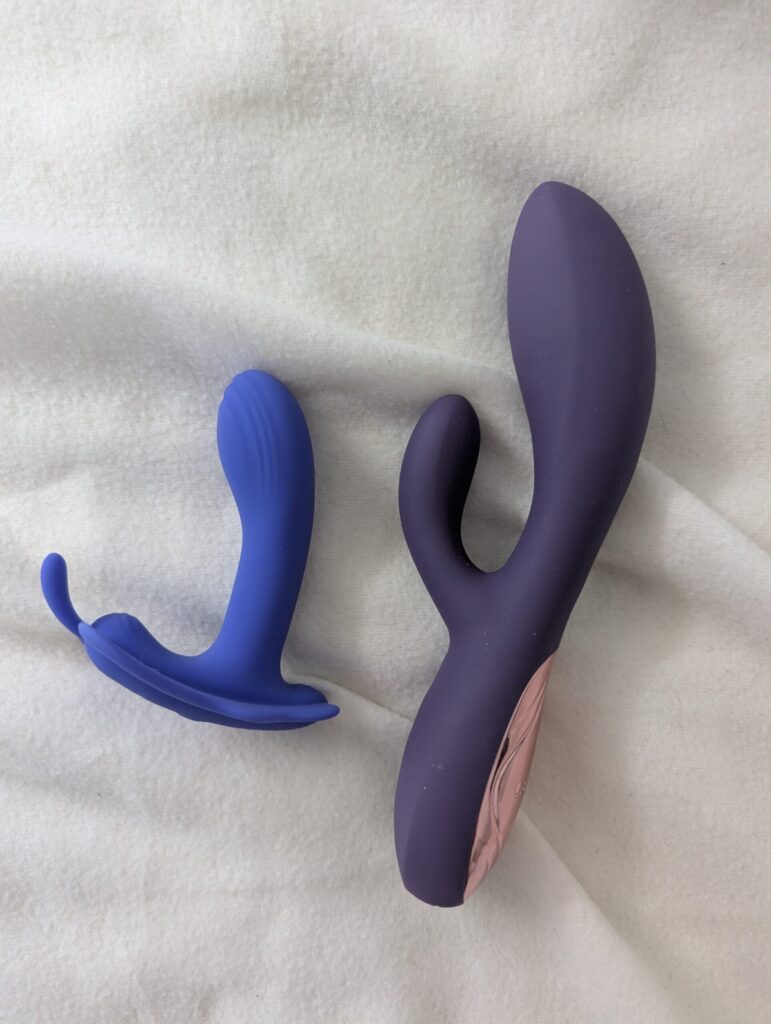 The Calexotics Connect Venus Butterfly Panty Vibe next to the LELO INA Thrust